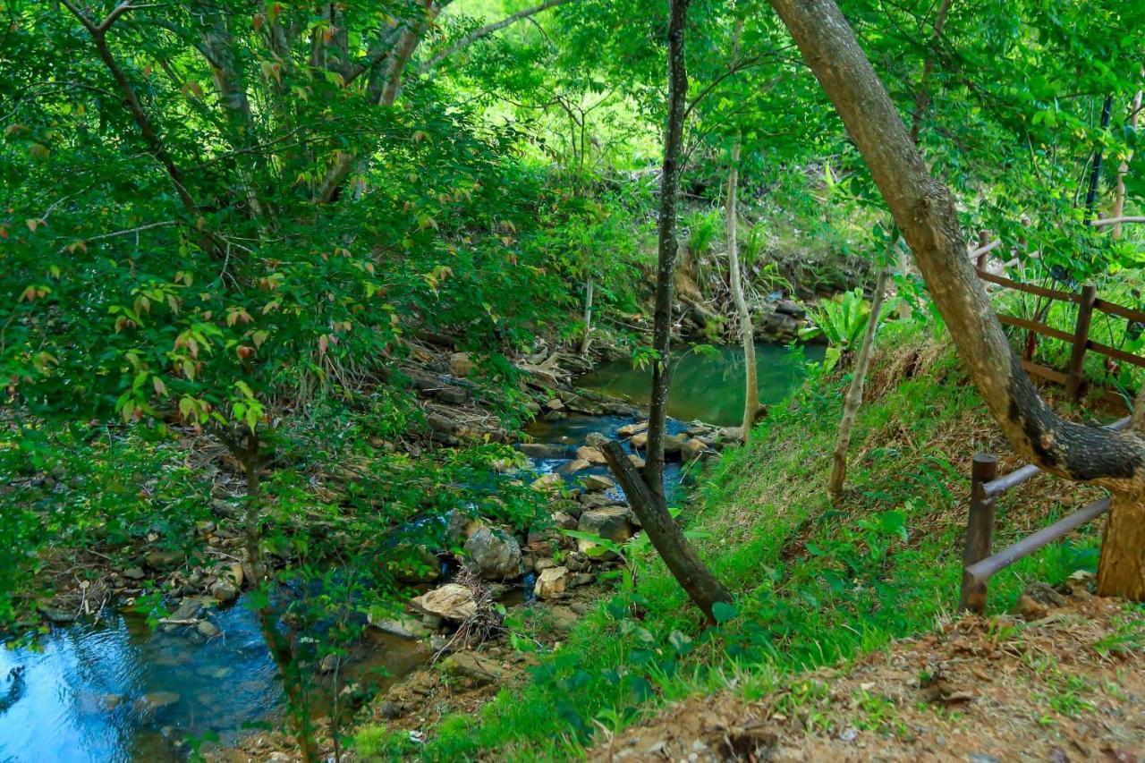 Doola River Edge Udawalawe Exterior photo