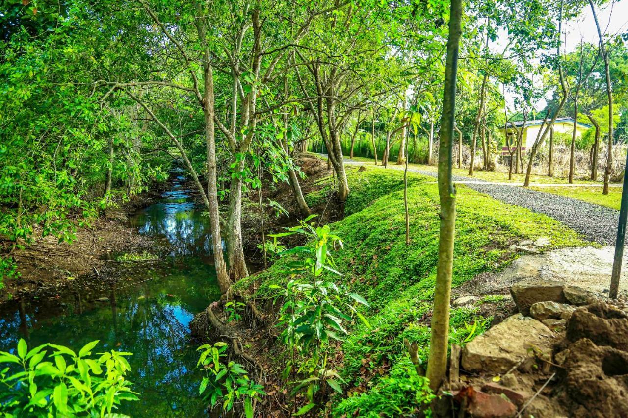 Doola River Edge Udawalawe Exterior photo